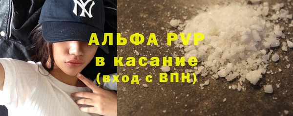 винт Абаза