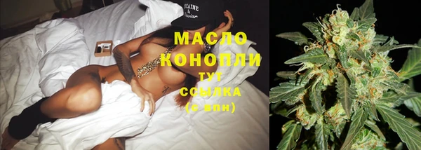 амф Алексин
