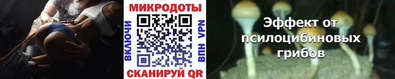 Галлюциногенные грибы мухоморы  кракен как войти  Слюдянка  купить наркоту 